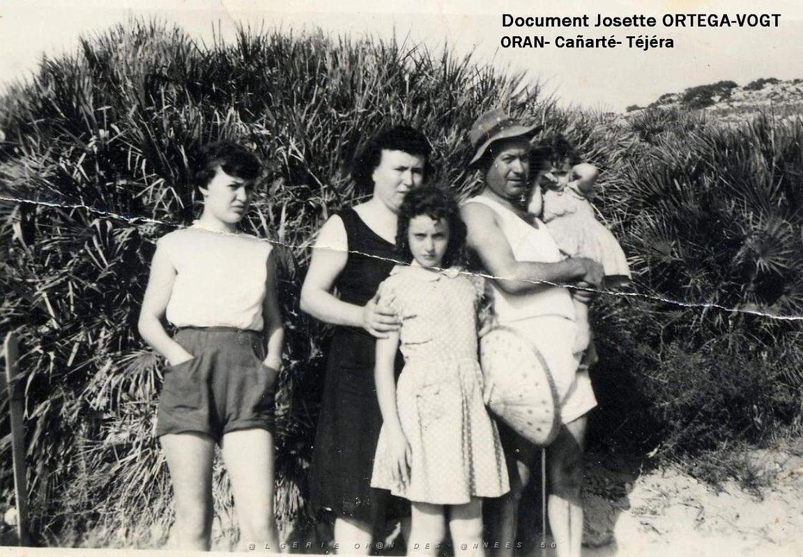 Oran- SDV- 0382- Josette Ortega- Vogt.jpg